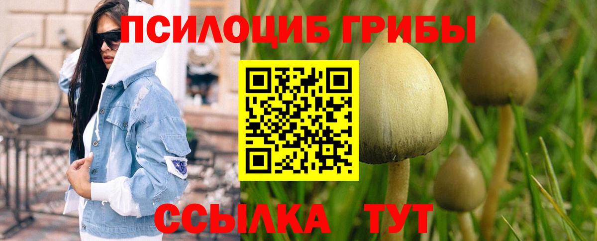 Кемерово  Псилоцибиновые грибы мухоморы  Вход с VPN 